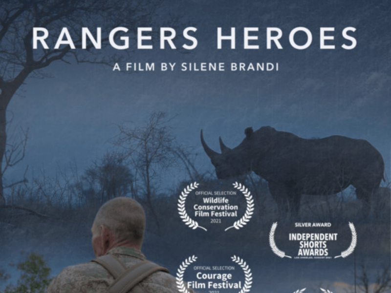 Rangers Heroes