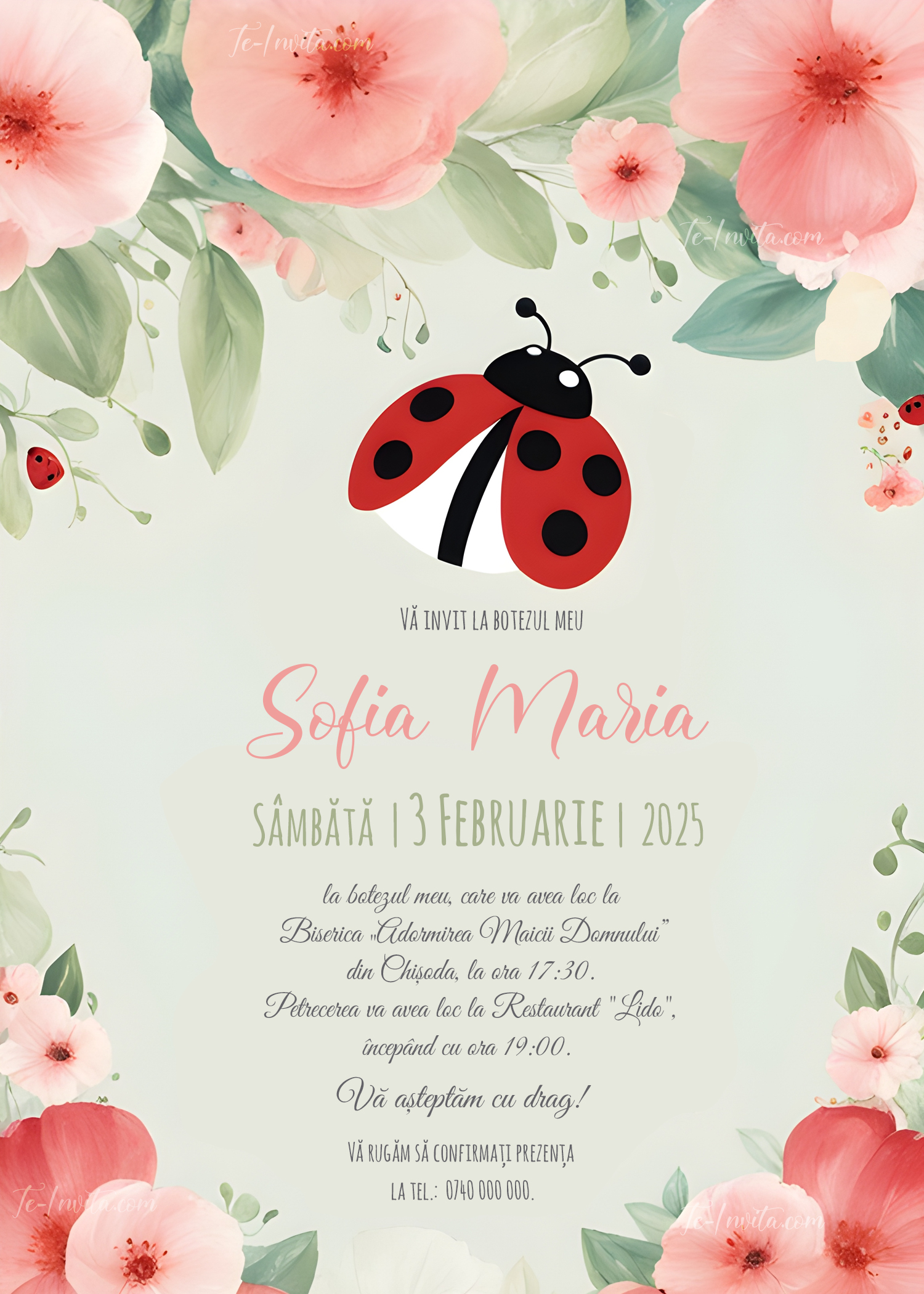 Invitație digitală Ladybug botez