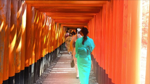 Tour NARA AND FUSHIMI INARI, THE SACRED HEART OF JAPAN preview