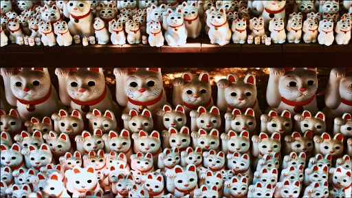 Tour WE LOVE SHIBUYA, HACHIKO AND THE LUCKY CAT TEMPLE preview