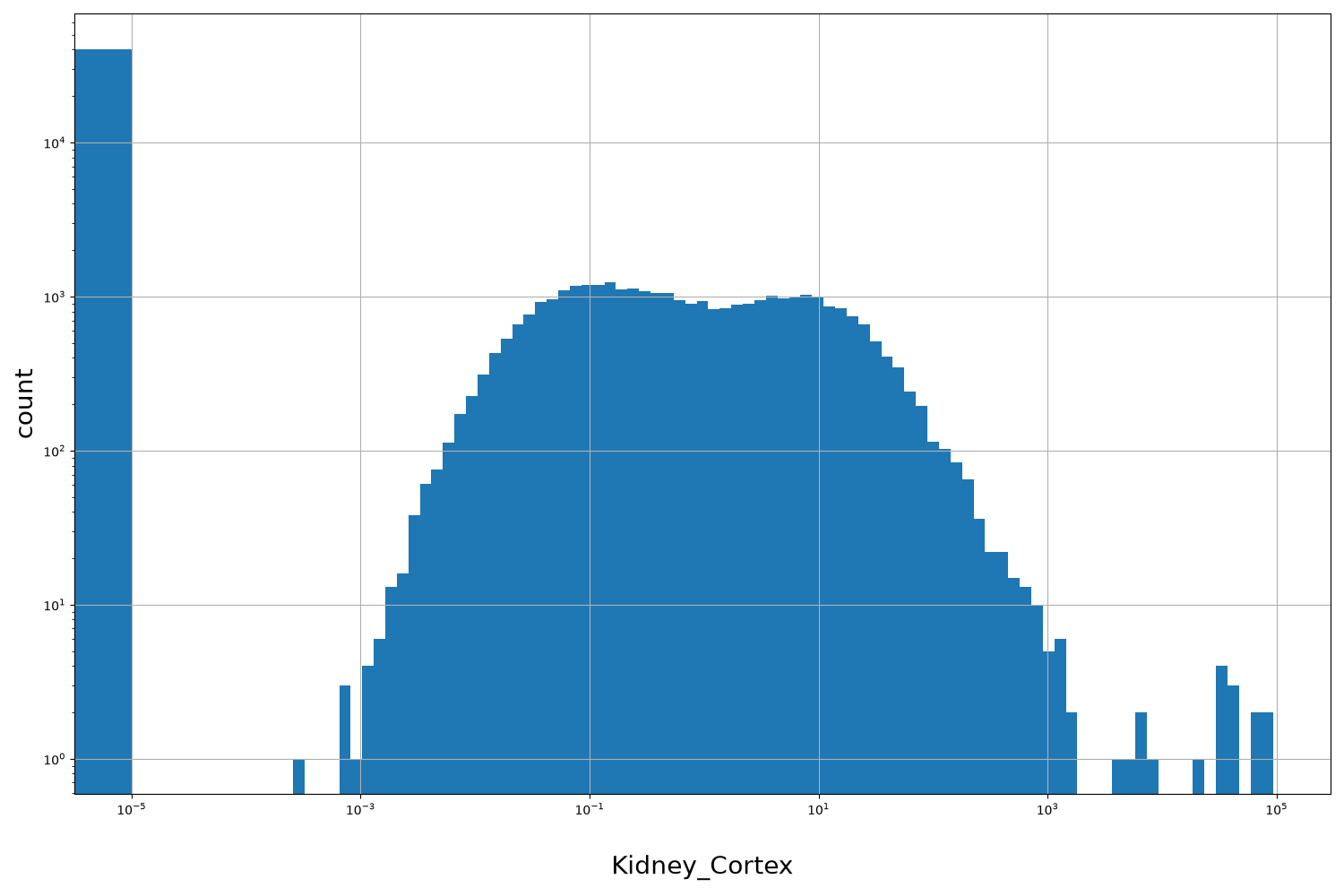 Kidney_Cortex