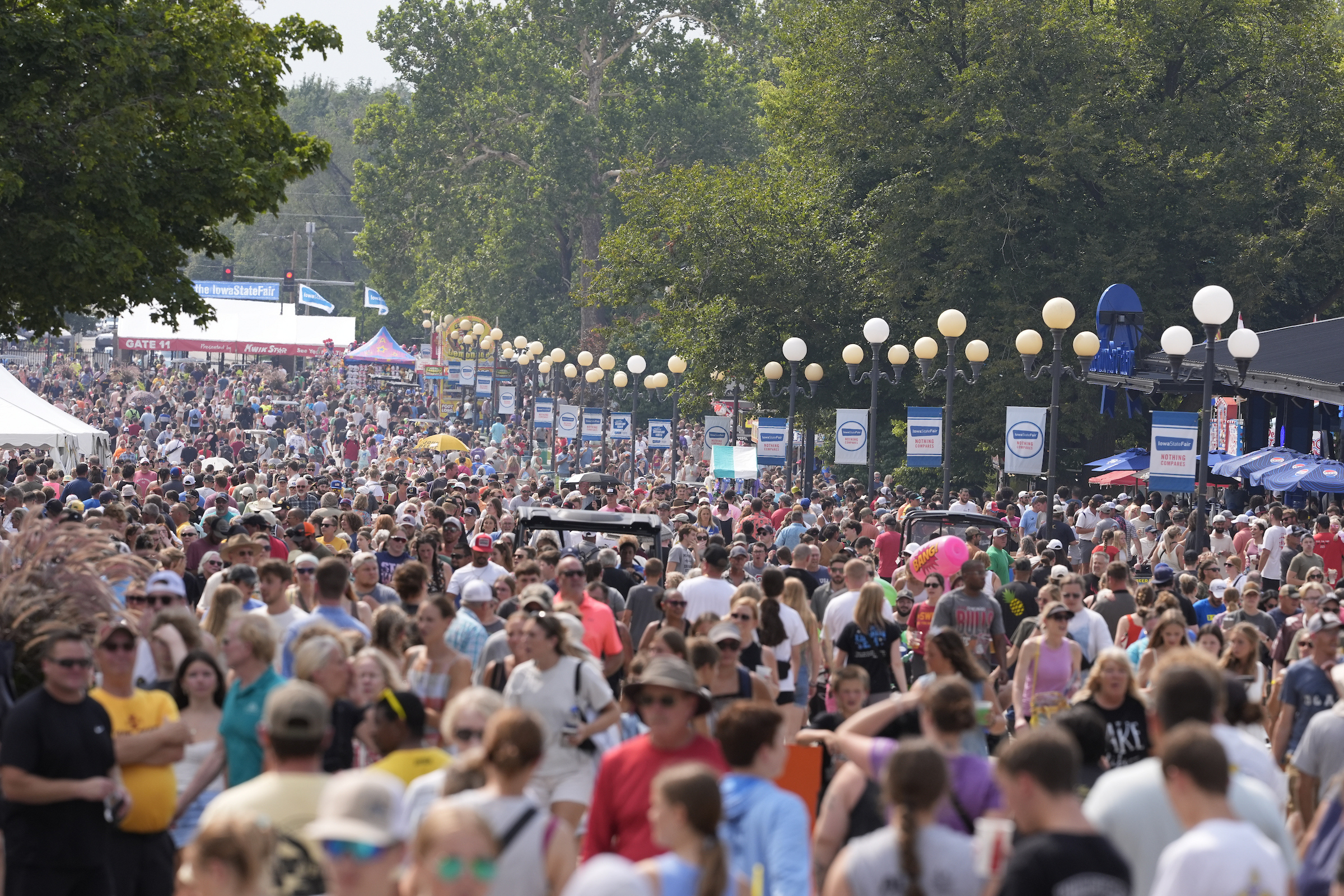 Crowd at the Fair
