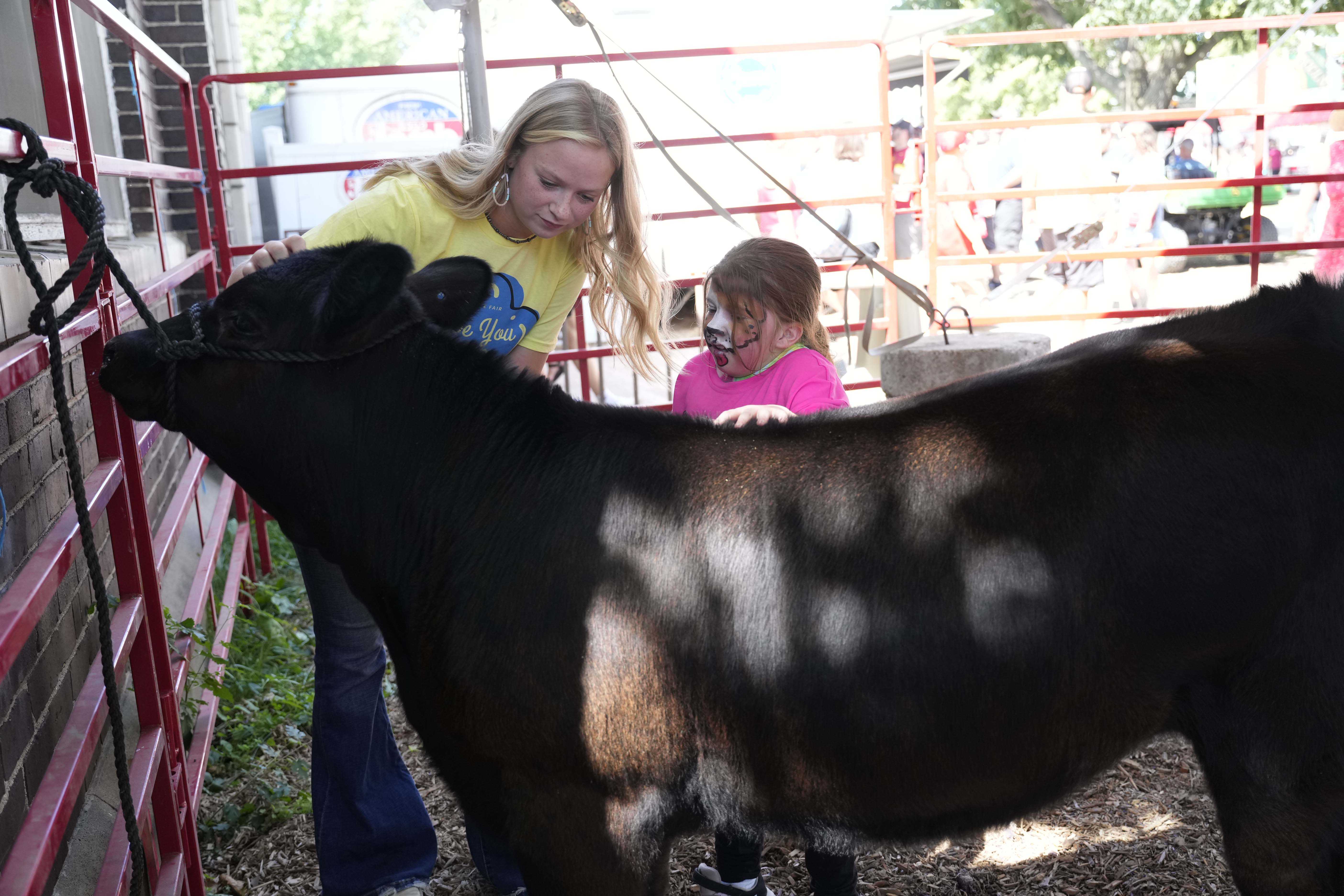 Youth can teach Fairgoers about their livestock projects at the Fair