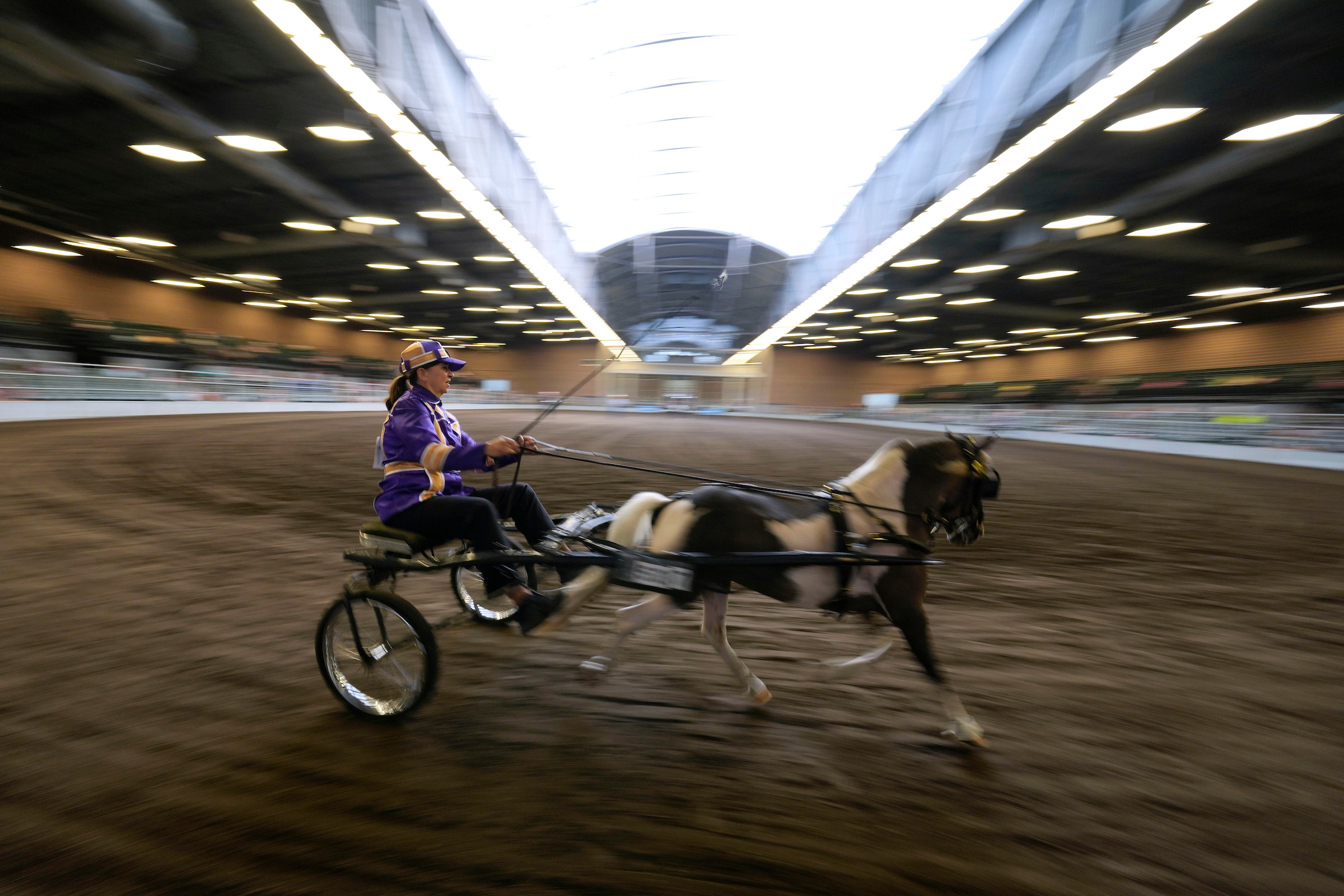 Horse exhibitors in the Jacobson Exhibition Center