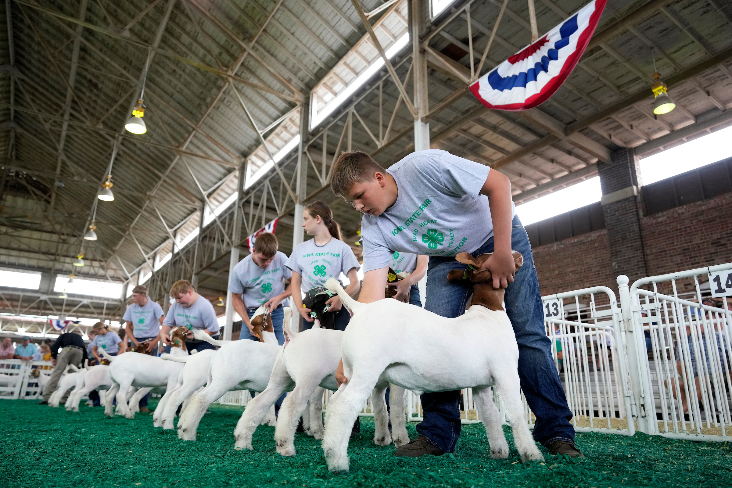 4-H goat show exhibitors