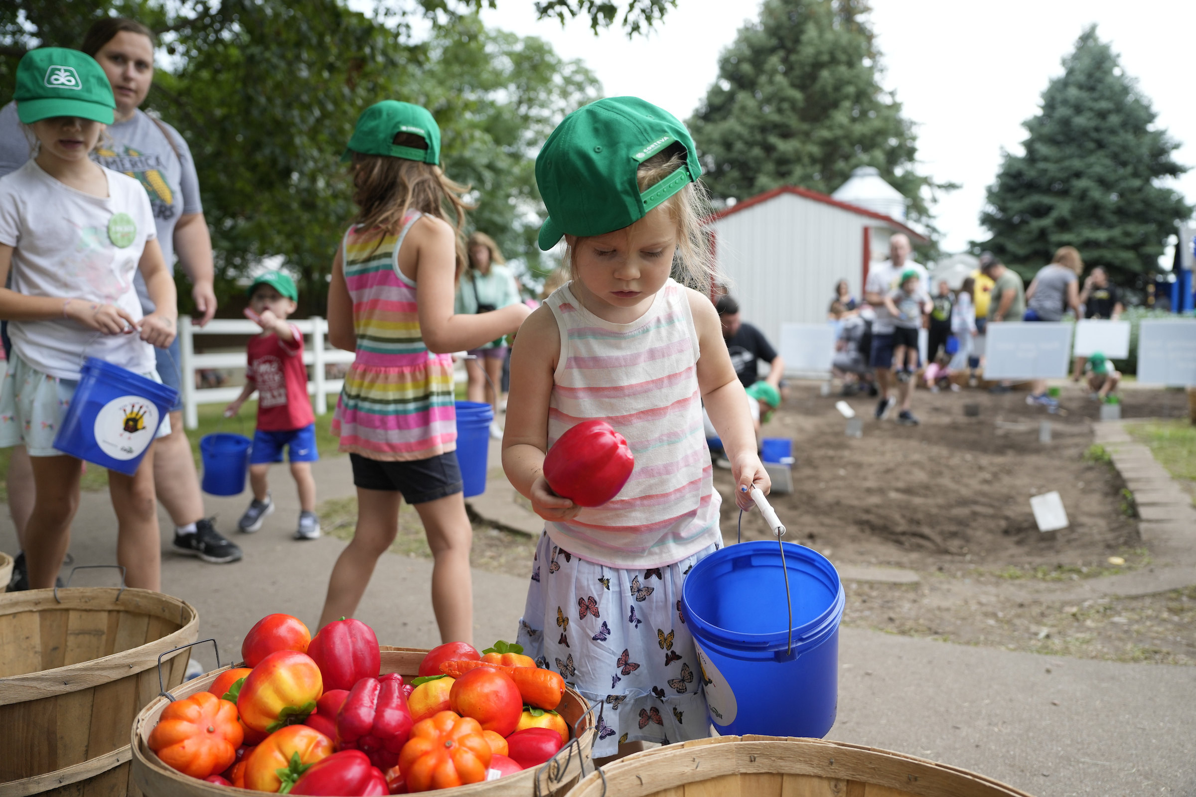 Iowa State Fair  Fair Kid-Friendly Activities