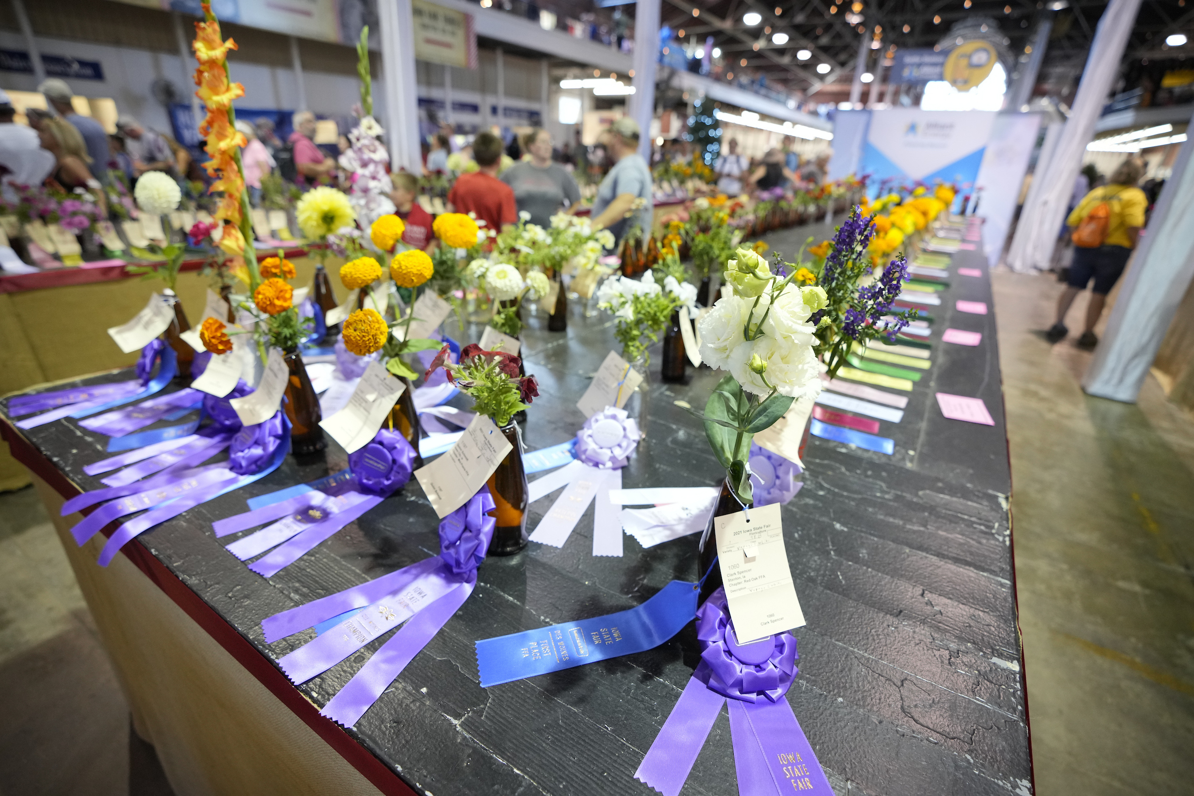 Floriculture exhibits at the Fair