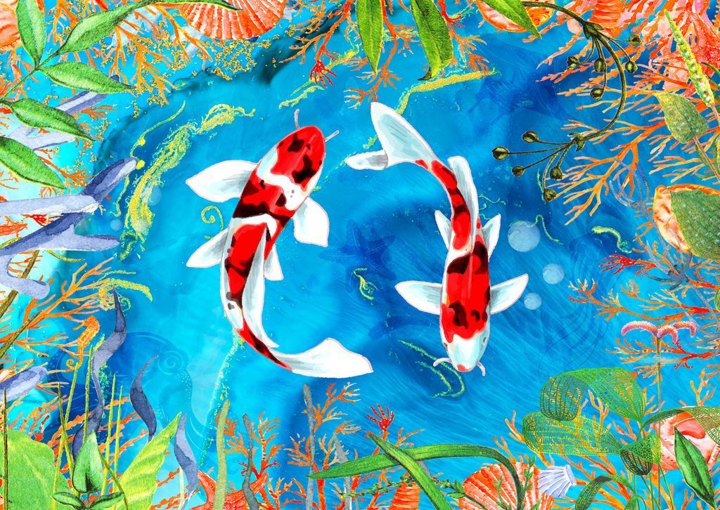 Two white and red koi fish swimming in a circle surrounded by vibrant aquatic plants and shells.