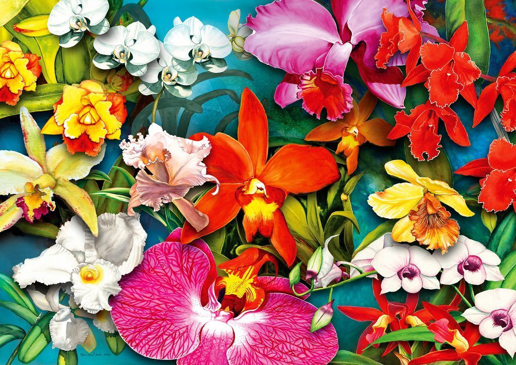 A lush, vibrant arrangement of various orchids in shades of pink, orange, yellow, and white against a teal background.
