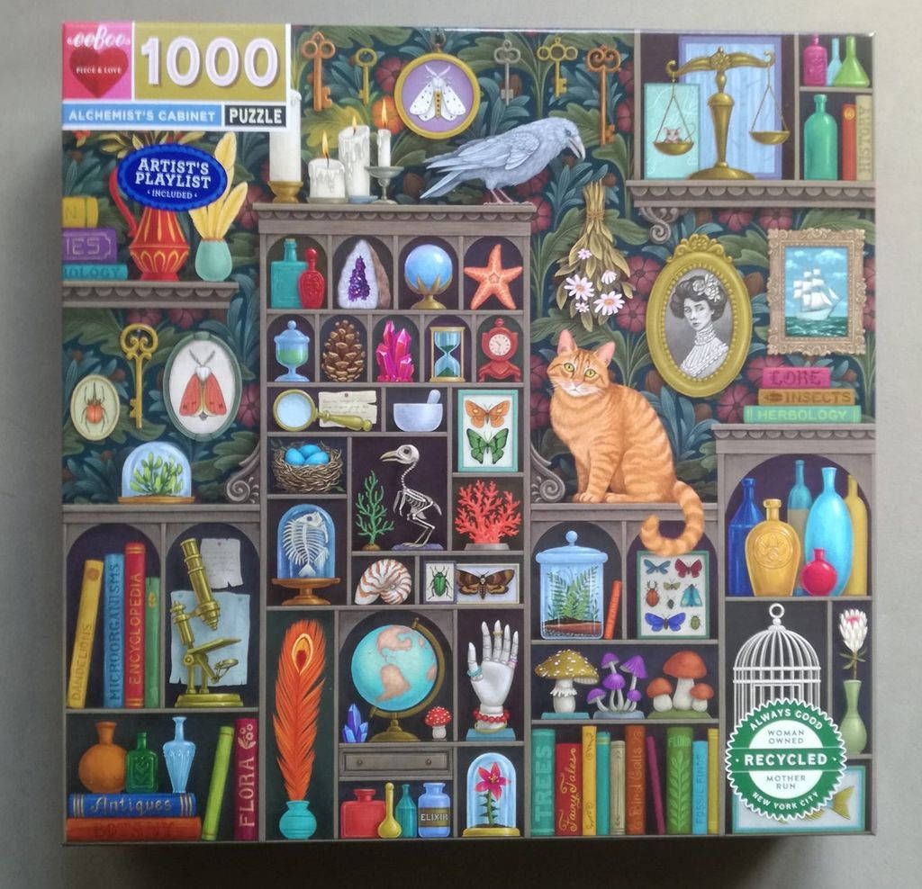 A detailed illustration of an alchemist’s cabinet filled with oddities, scientific specimens, and a ginger tabby cat.