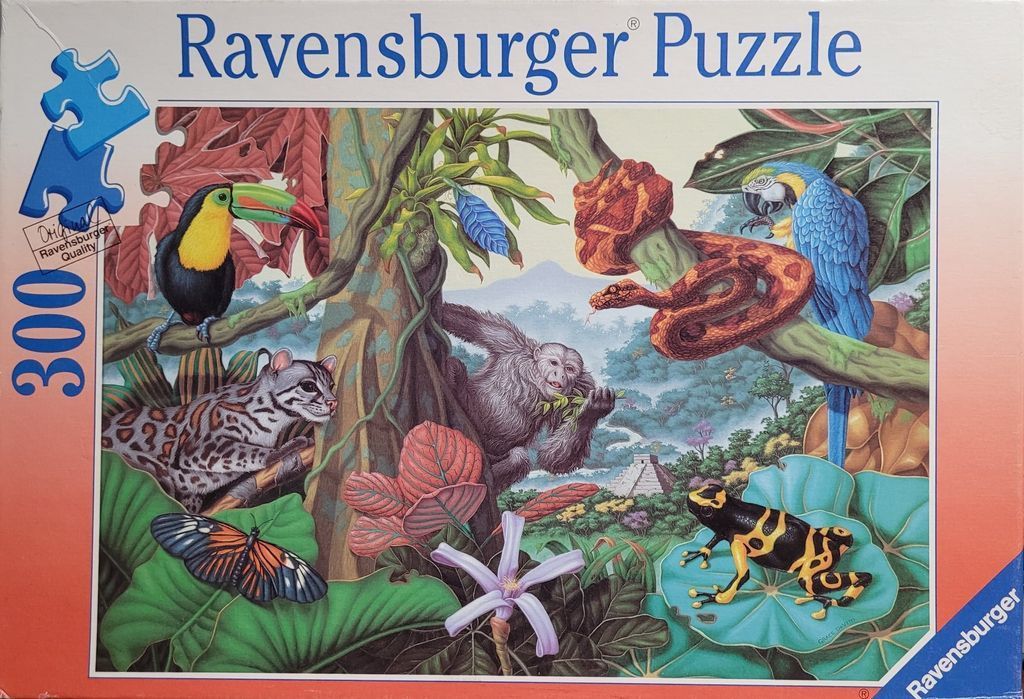 A lush rainforest scene featuring a toucan, ocelot, monkey, snake, macaw, and tree frog among tropical plants.