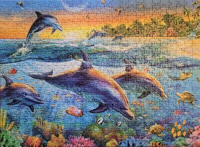 A pod of dolphins swimming in a vibrant, sunset-lit ocean with a tropical coastline in the background.