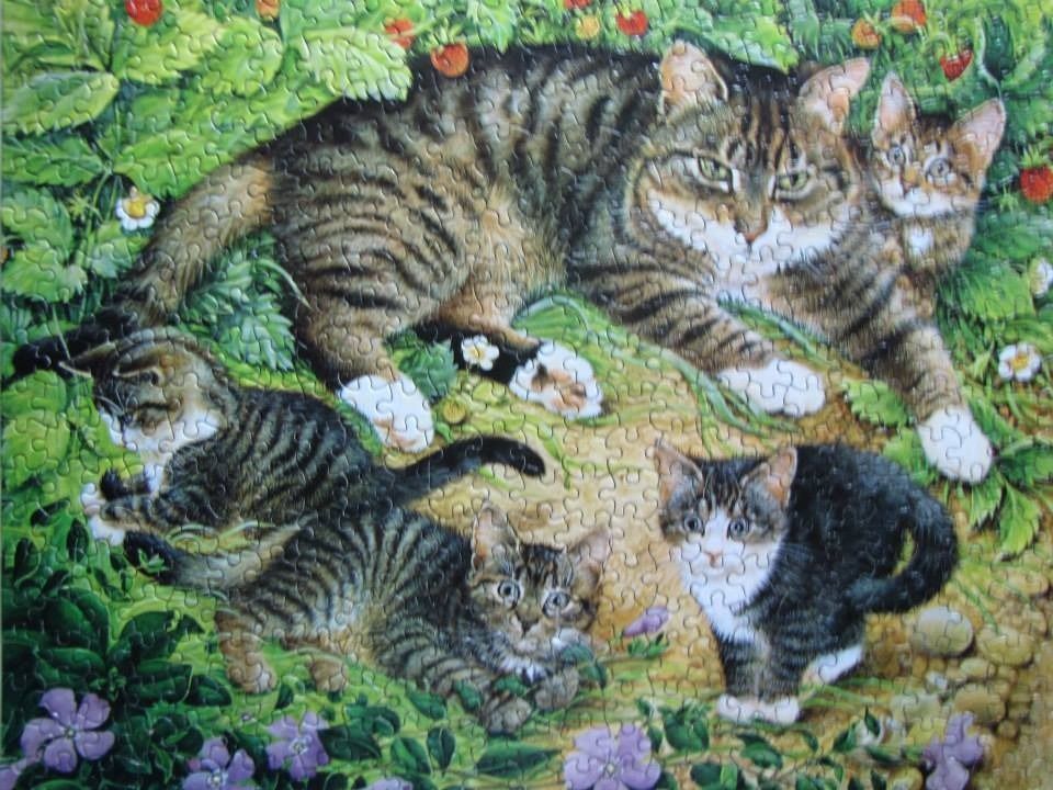 A mother tabby cat and her three kittens resting in a strawberry patch.