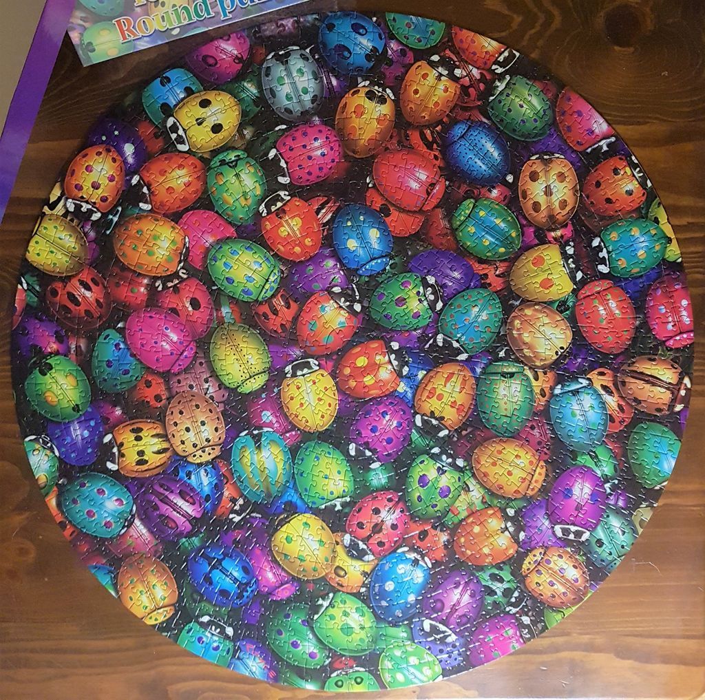 A circular illustration densely packed with colorful ladybugs in various hues.
