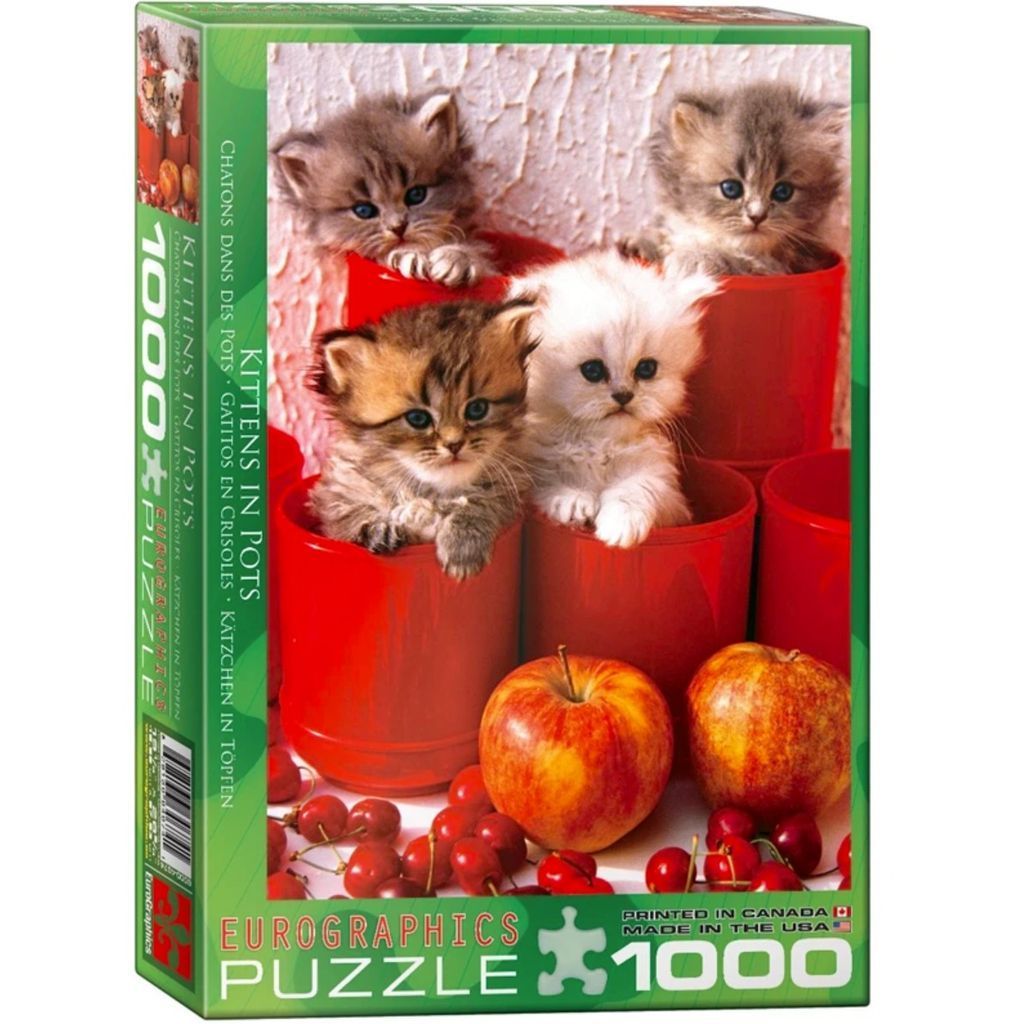 Four fluffy kittens sitting in bright red pots with apples and cherries in the foreground.