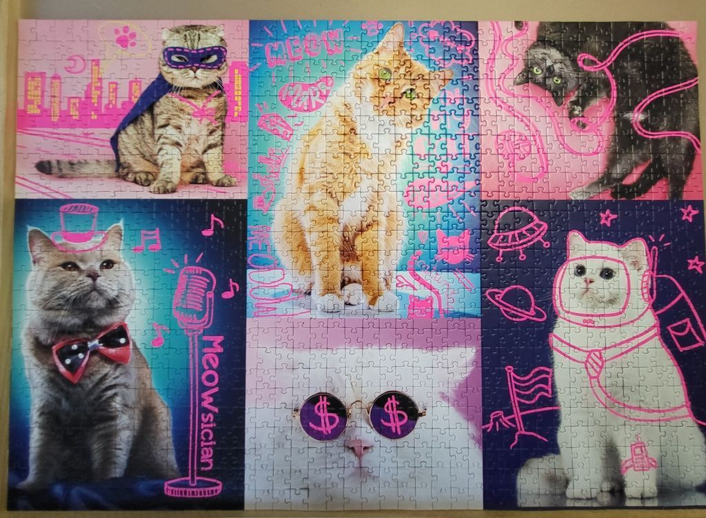 A collage of six cats stylized with neon pink line drawings against vibrant backgrounds.