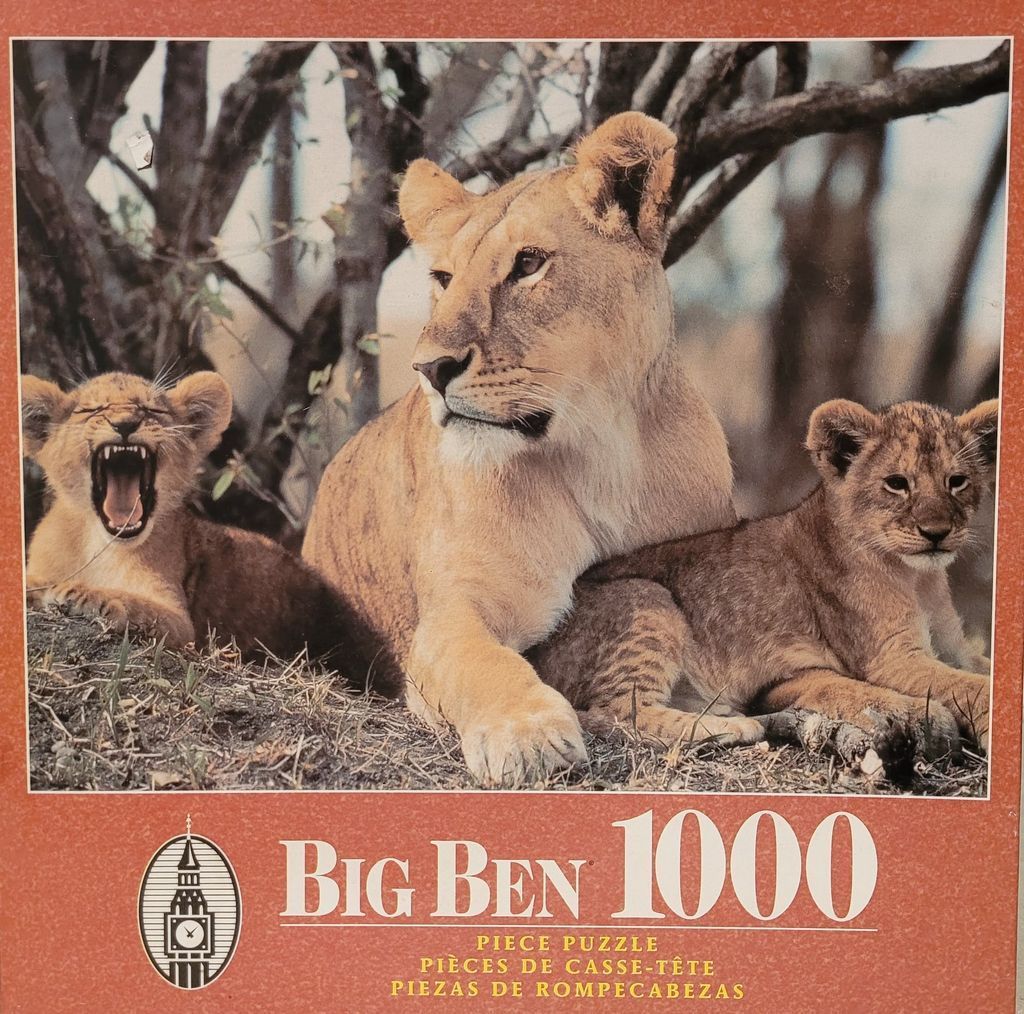 A lioness resting with two cubs, one of which is yawning, in a sunny woodland setting.