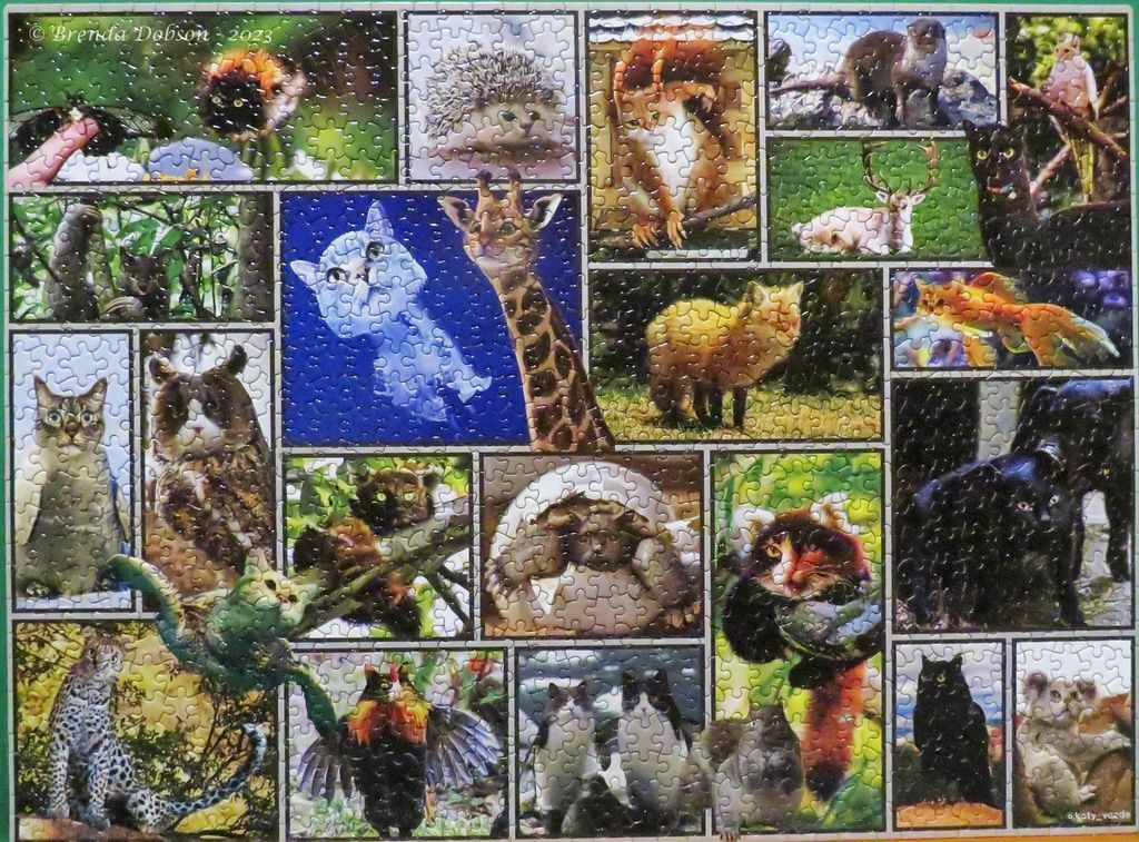 A collage of various animals, including cats, a giraffe, a fox, and birds, arranged in a grid-like photo gallery.