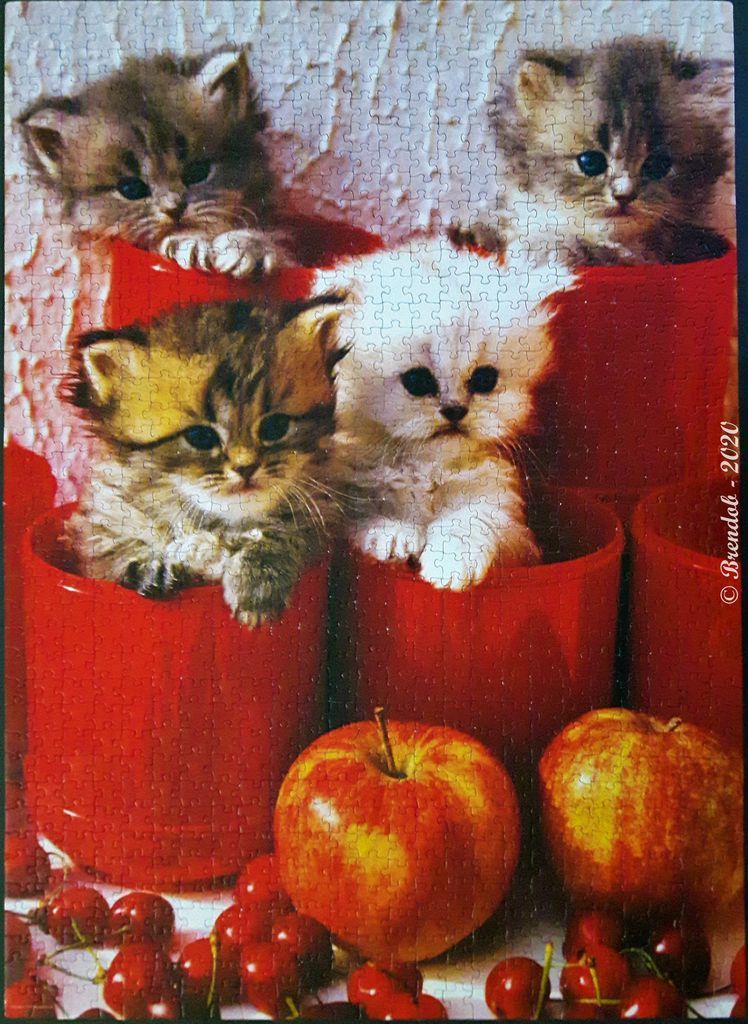 Four fluffy kittens sitting in bright red mugs surrounded by apples and cherries.
