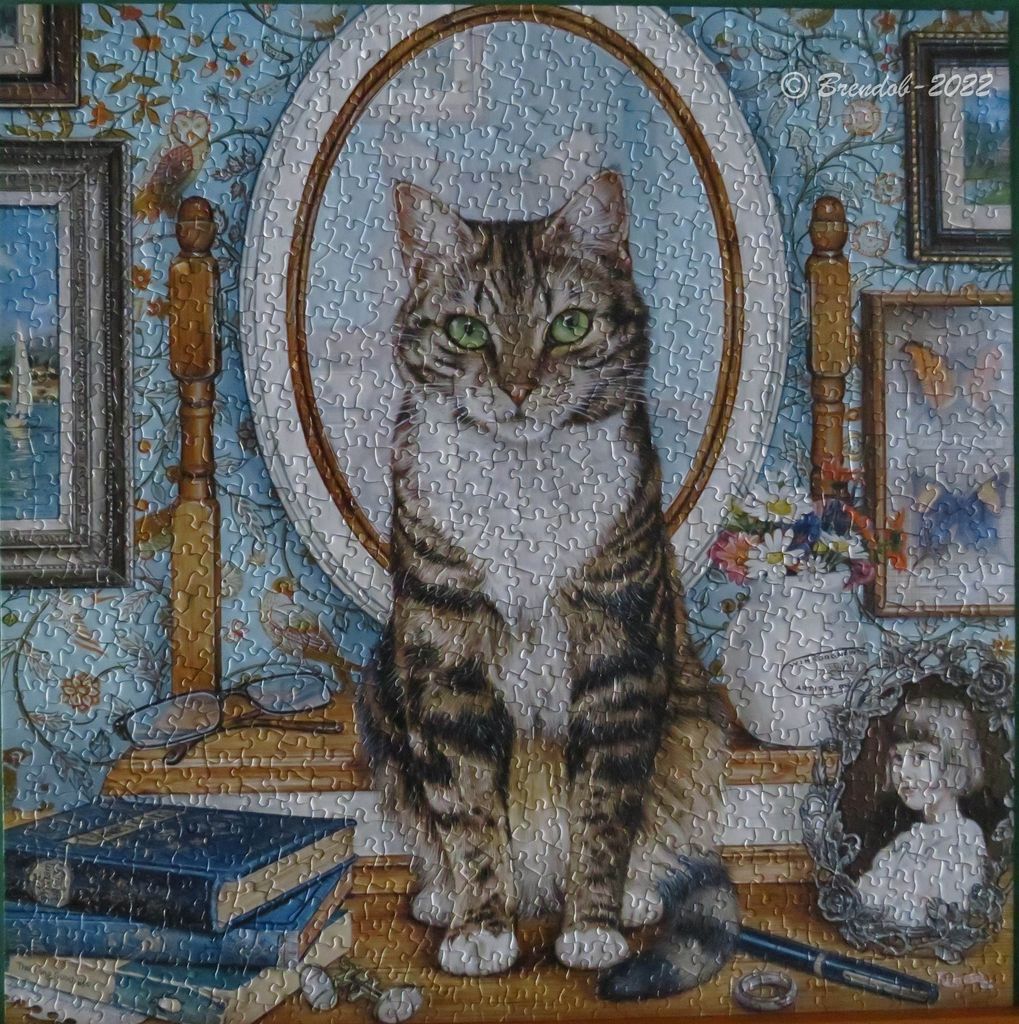 A detailed illustration of a tabby cat sitting on a desk in front of a mirror surrounded by framed pictures and books.
