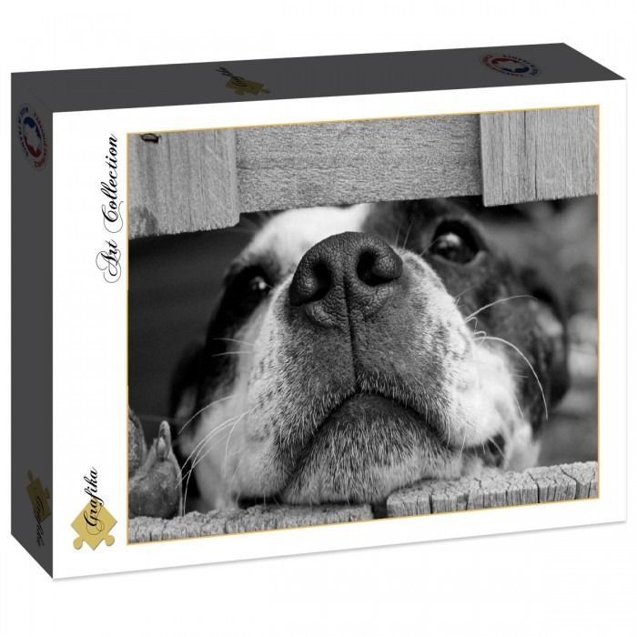 Close-up black and white photograph of a dog peering through a wooden fence.