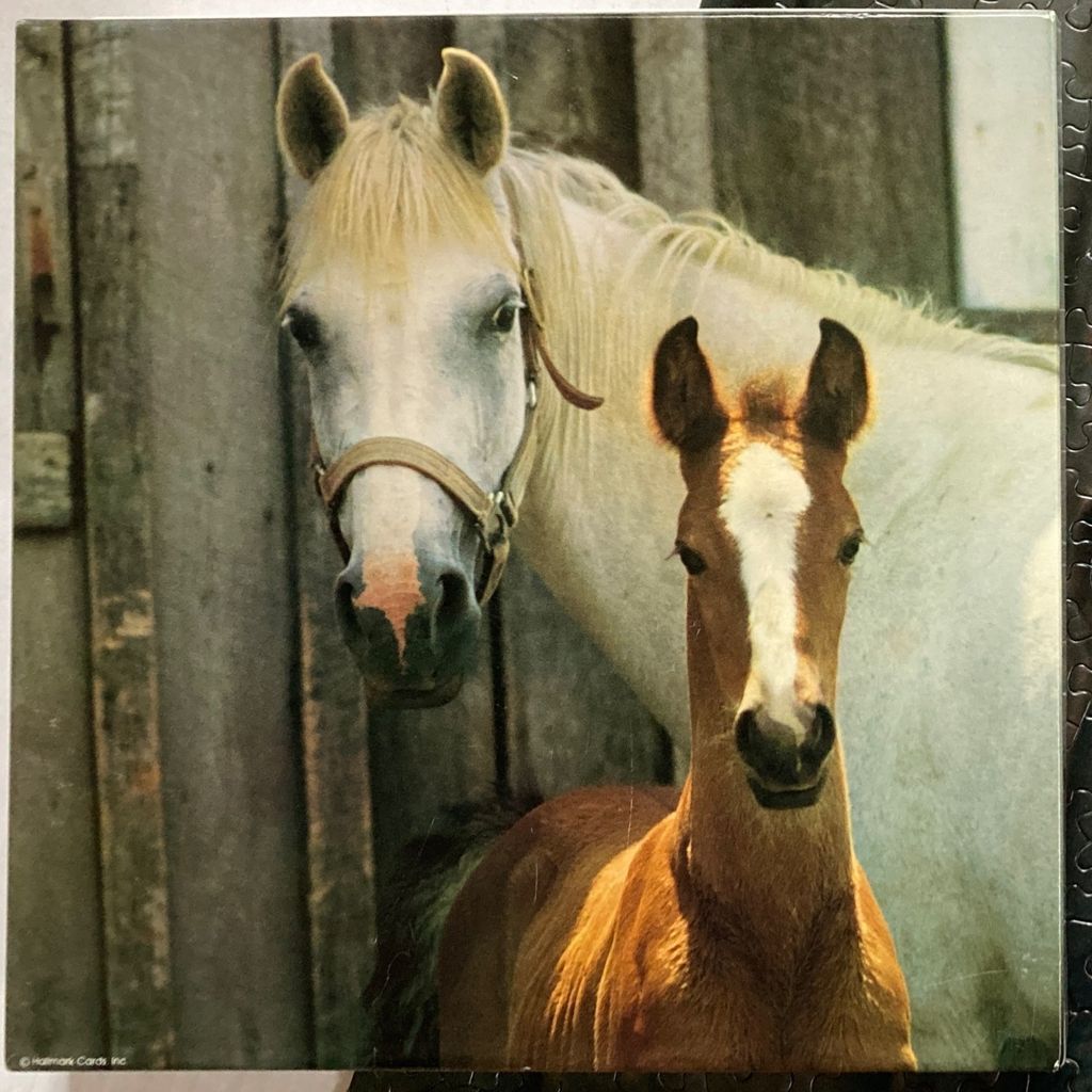 A close-up photograph of a white mare standing behind her young brown foal in front of a rustic wooden fence.