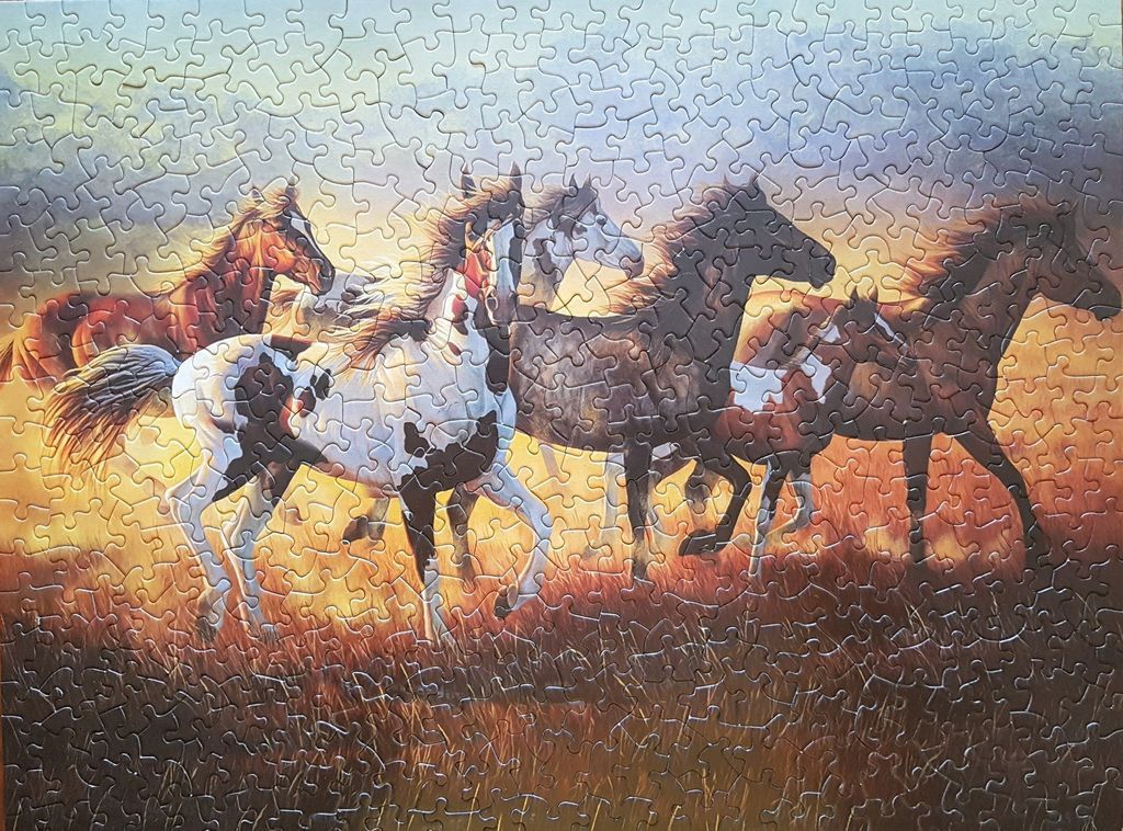 Five horses running through a field at sunrise.