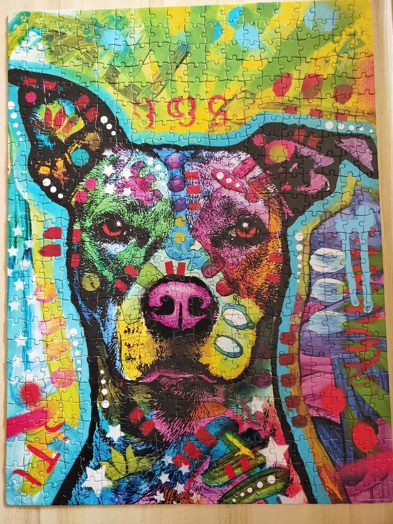 Vibrant abstract pop art portrait of a dog featuring bold colors, graffiti-style patterns, and energetic brushstrokes.