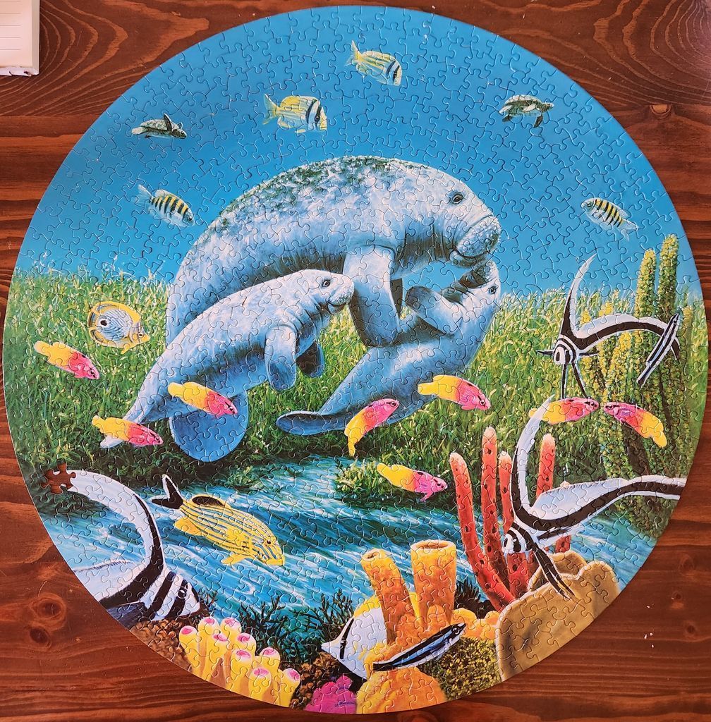 A round illustration of a manatee family swimming with tropical fish in an underwater scene.