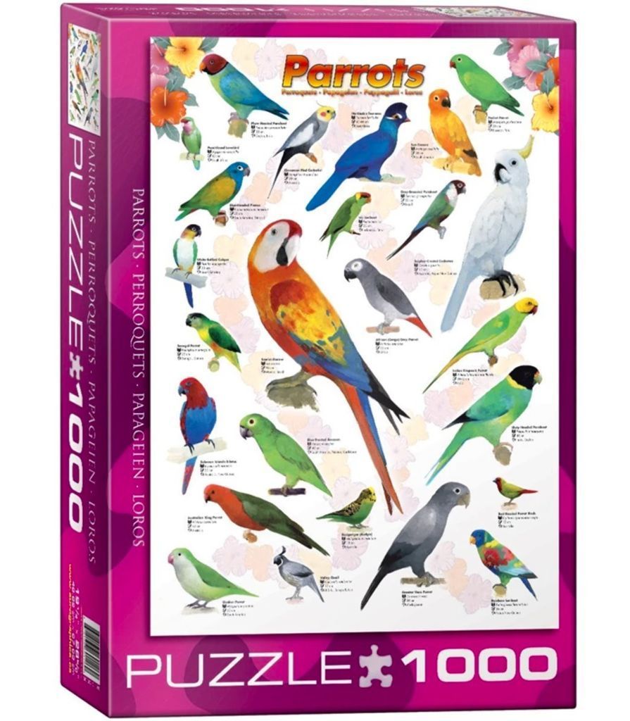 A collection of various parrot species illustrated on a white background with tropical flowers.