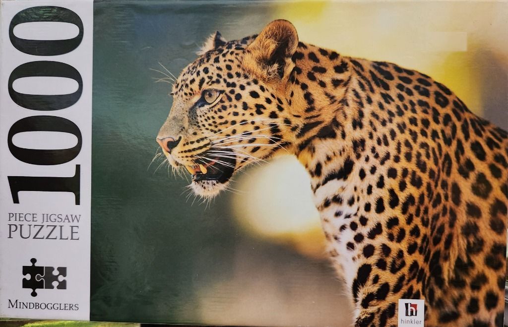 A close-up photograph of a leopard in profile against a blurred background.