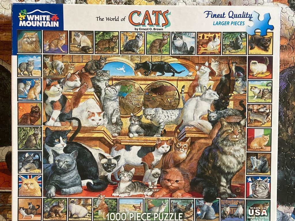 A collage of various cat breeds and scenes arranged around a central depiction of cats in a library-like setting.