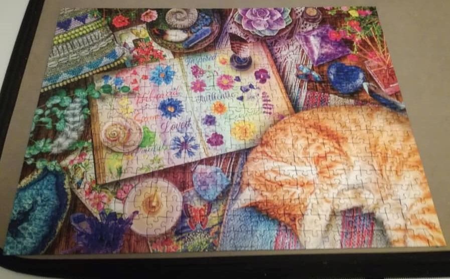 An illustration of a cozy desk featuring a sleeping orange cat, a flower-filled journal, crystals, and succulents.
