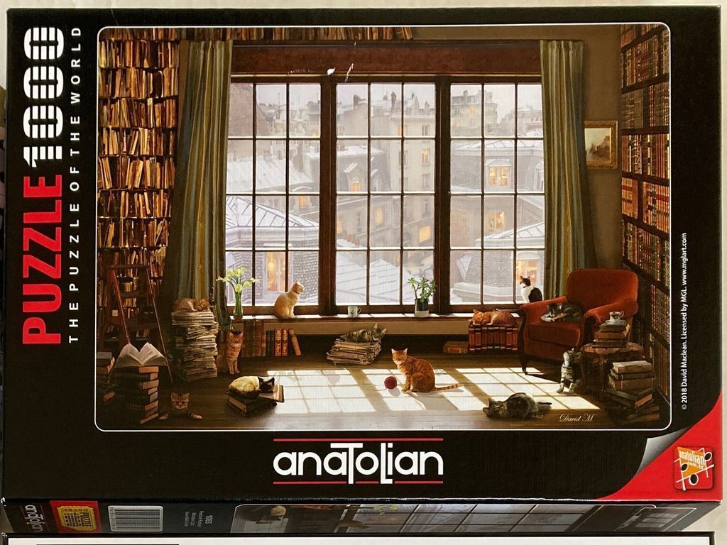 A cozy study with many cats, floor-to-ceiling bookshelves, and a large window overlooking a city cityscape.
