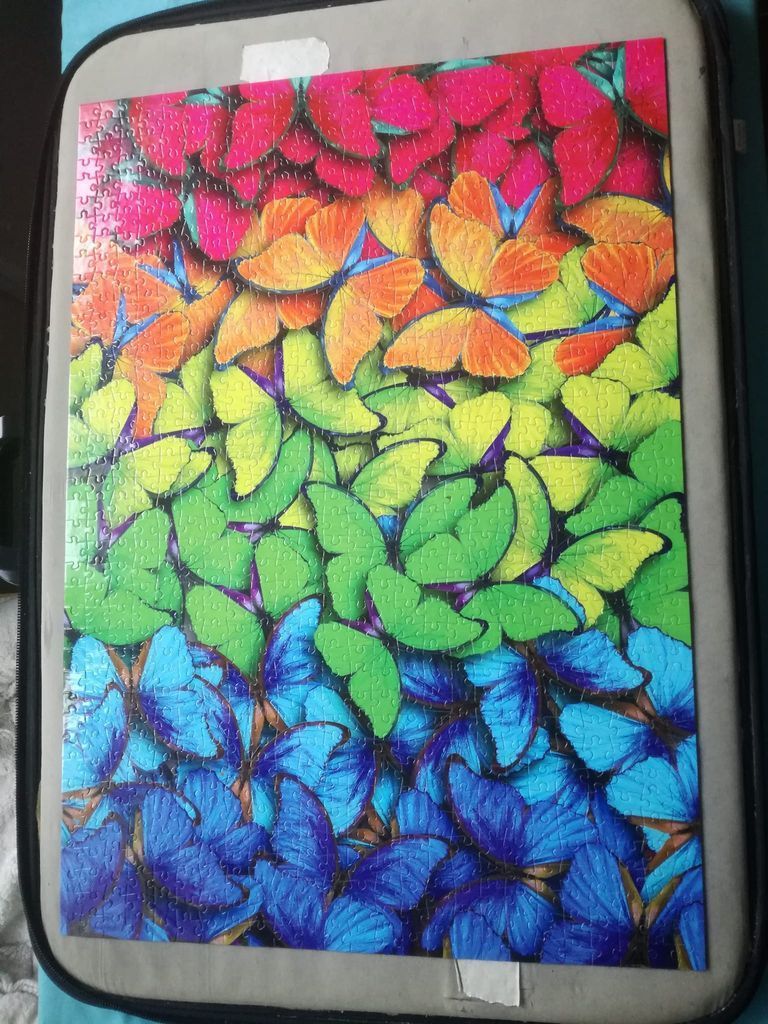 A vibrant collage of butterflies arranged in a spectrum of colors from red and orange at the top to blue and purple below.