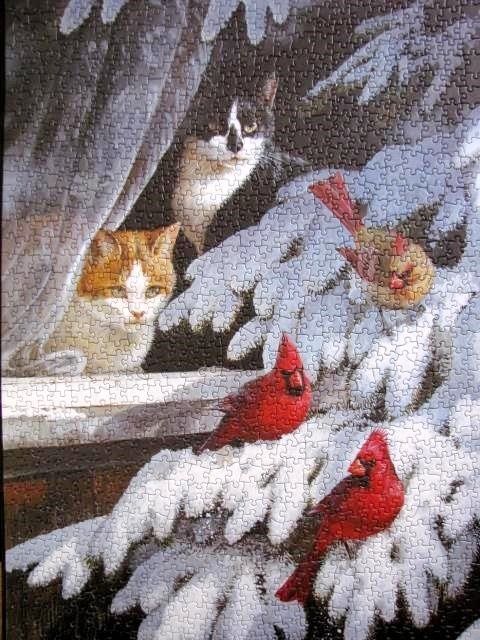 Two cats watching two bright red cardinals perched on a snow-covered pine tree outside a window.
