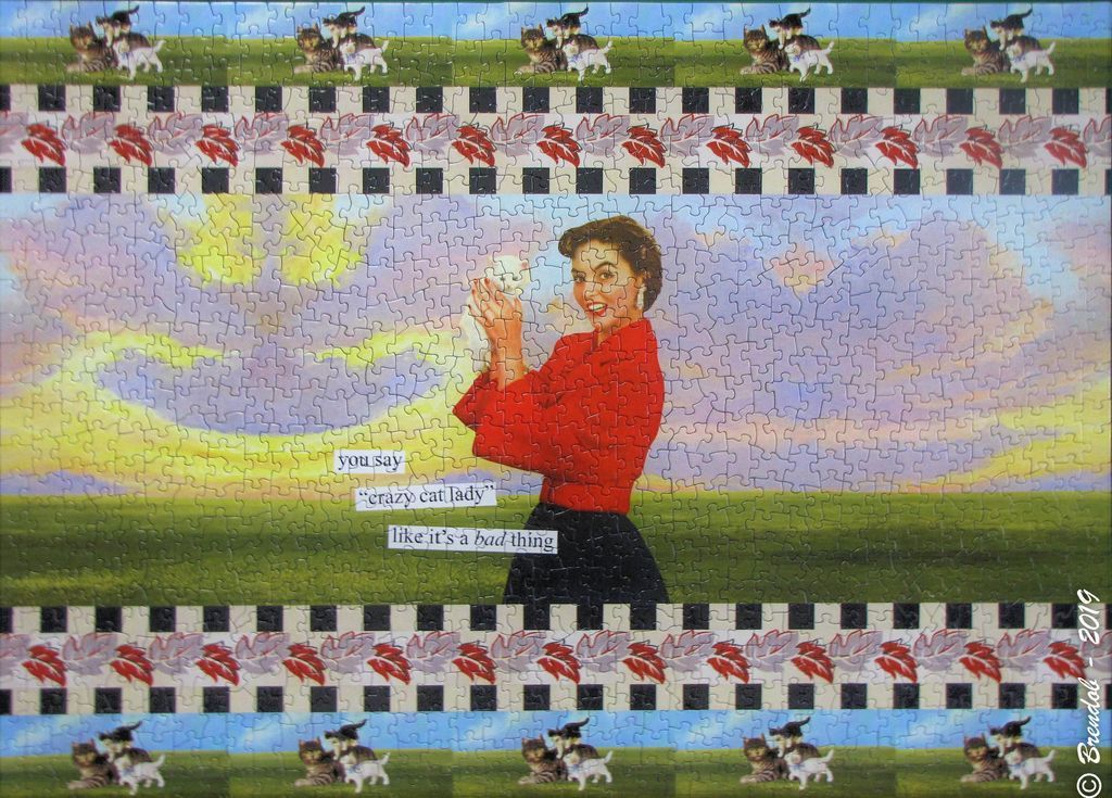 A collage-style image of a woman holding a white kitten with the text: You say crazy cat lady like it
