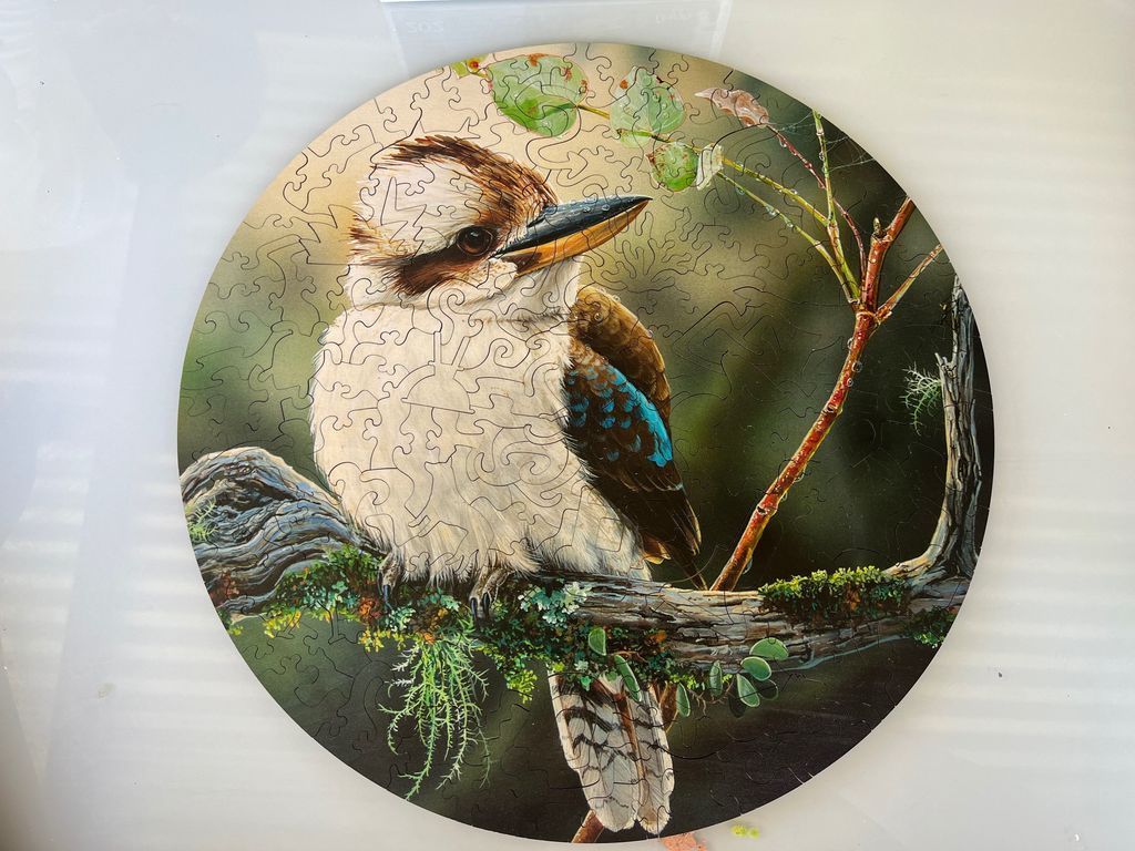 A circular illustration of a kookaburra perched on a mossy branch against a soft, dark forest background.