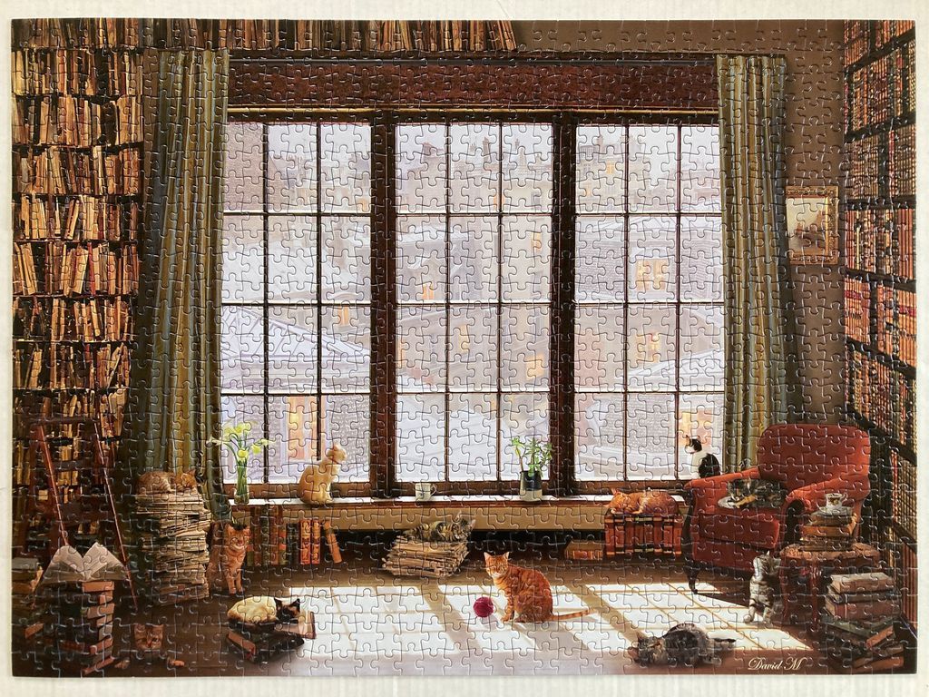 A cozy, cat-filled library with a large window overlooking a snowy town.