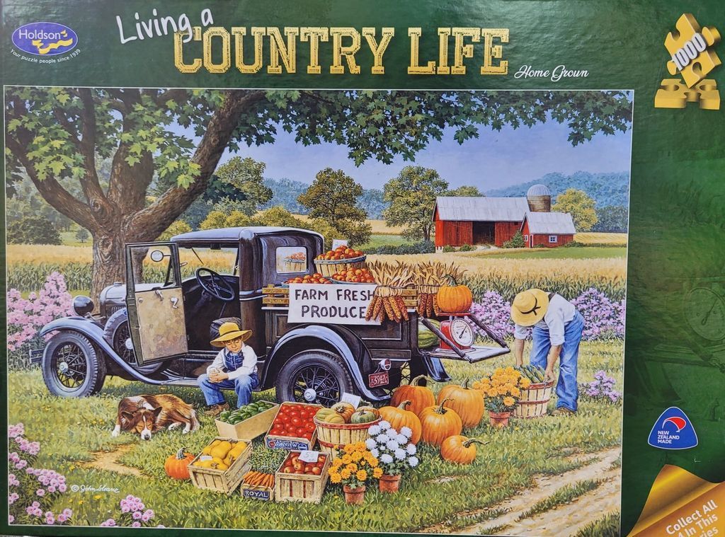 A vintage black pickup truck filled with autumn produce and farm life in a rural setting.