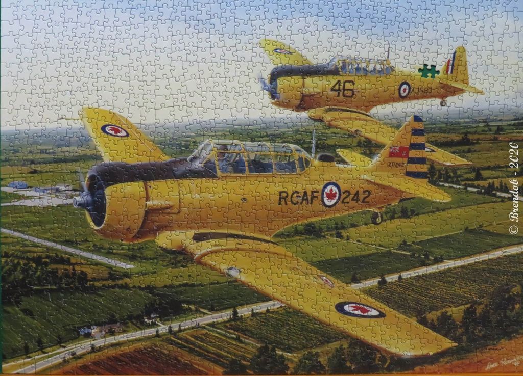 Two bright yellow RCAF Harvard trainer aircraft flying over a rural landscape.
