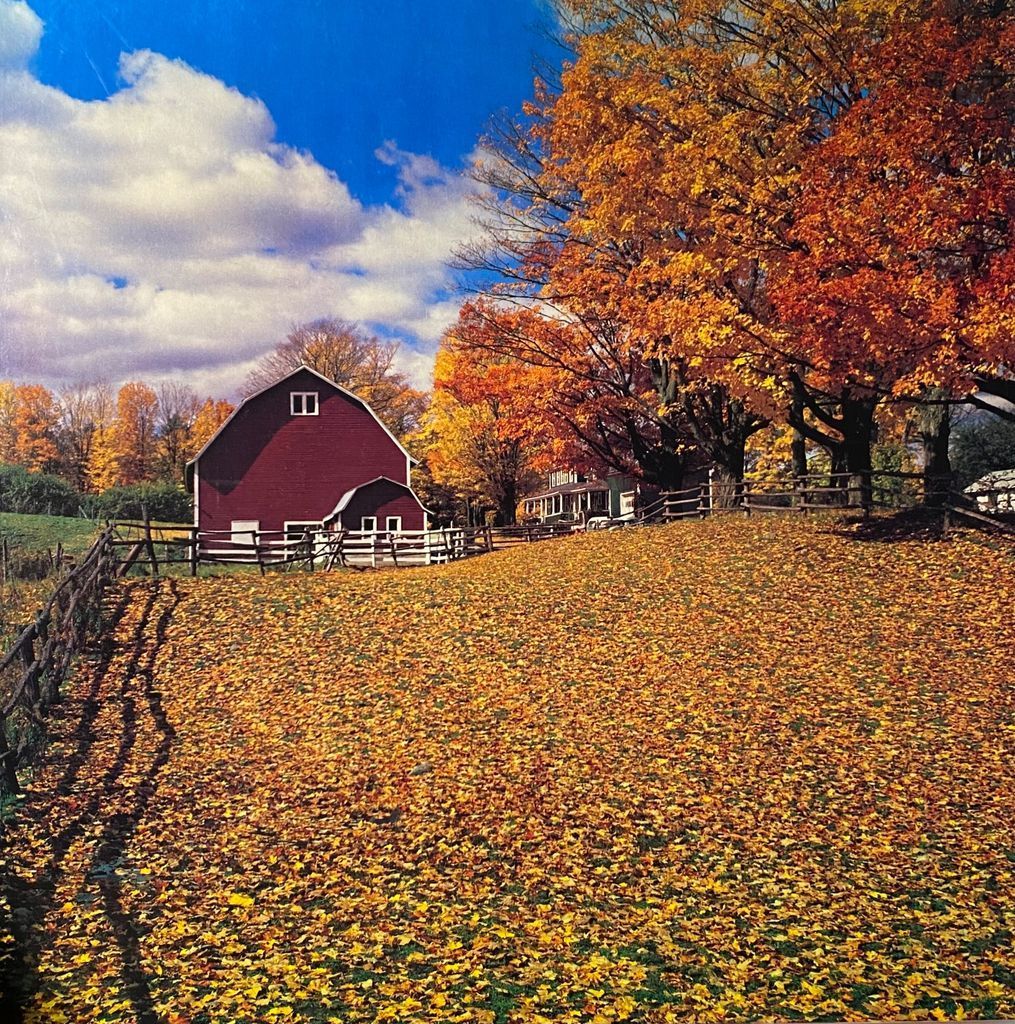 A red barn sits behind a field covered in golden autumn leaves, framed by trees with vibrant orange and yellow foliage.
