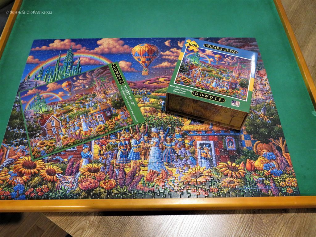 A whimsical fantasy illustration of the Wizard of Oz characters in a vibrant sunflower field under a rainbow.
