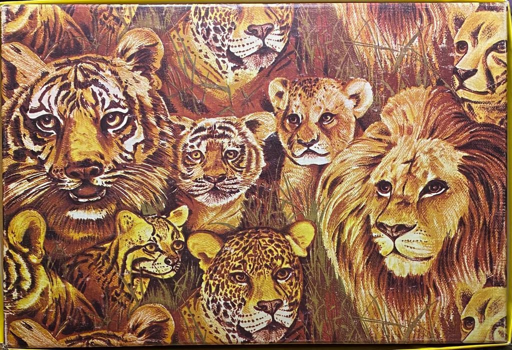 A montage of various large big cats including a tiger, lion, leopard, and lynx in a grassy environment.