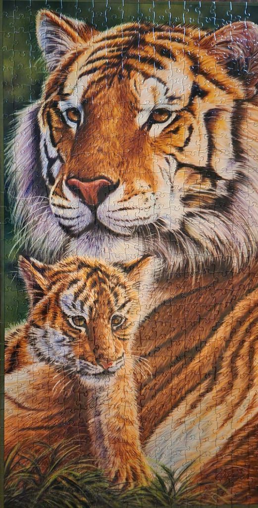 An adult tiger and a cub in a realistic, painterly portrait style set against a dark forest background.