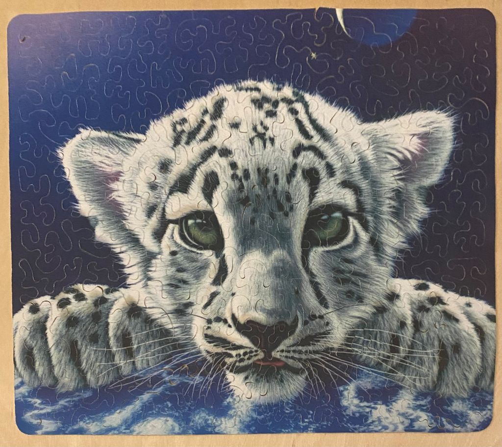 A close-up illustration of a snow leopard cub resting its paws on a blue, cloud-like surface under a starry night sky.