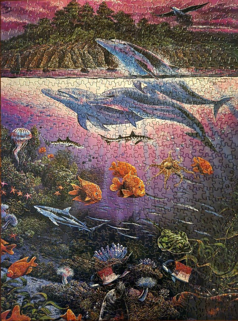 Underwater scene featuring dolphins swimming beneath a coastal landscape at sunset.
