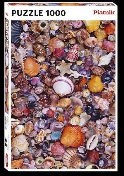 A dense, colorful collection of various seashells, starfish, and sea urchin skeletons filling the frame.