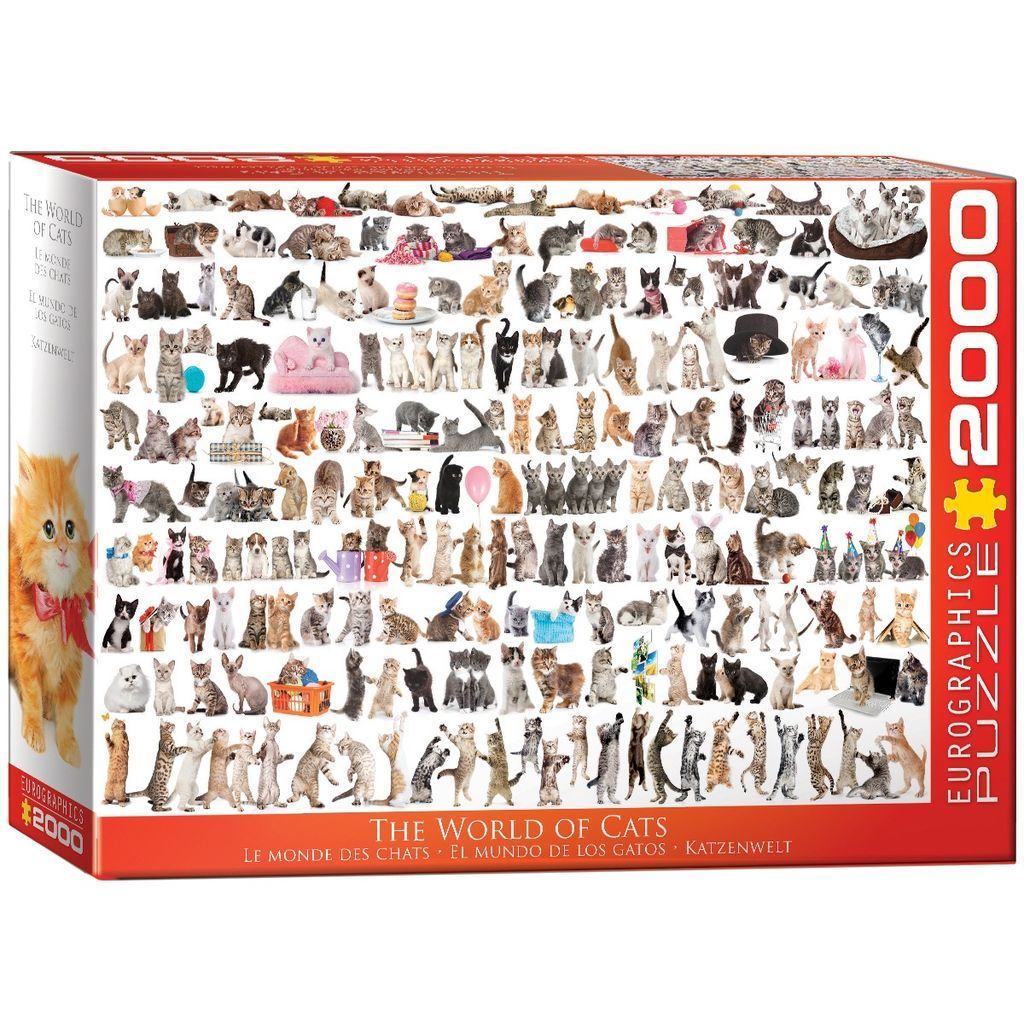A montage of dozens of different cat breeds and poses on a white background.