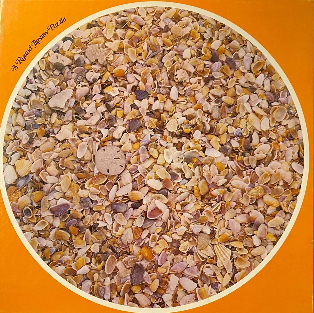 A top-down photograph of a dense collection of seashells, focused on a central sand dollar.